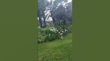 (فاذا برق البصروخسف القمر)استشعر عظمة الخالق تلاوة تهتز لها القلوب لوديع اليمني❤❤