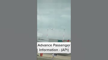 What is Advance Passenger Information?  API#visaschengen #visauae #vfsglobal #visaeurope