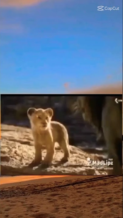 🤣Meme ,Itu bukan Mengaung Tapi Desah itu Bener gk ? 😁🔥🔥#short #meme #singa
