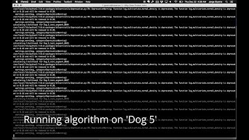 Seizure Forecasting Analysis of EEG Data