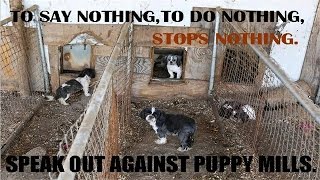 The Shocking Truth About Puppy Mills (Documentary in HD!!!)