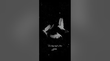 #سورة_المزمل  ; وأصبر على مايقولون وأهجرهم هجراً جميلاً 🤎🎀
