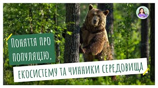 картинка: Поняття про популяцію, екосистему та чинники середовища