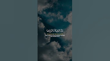 راحة نفسية❤️✨حالات واتس اب قران/مقاطع دينية قصيرة آيات قرانية/ستوريات انستا#قرآن_كريم