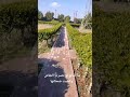 ما المانع لو خسرت النقاش وكسبت ضحكتها