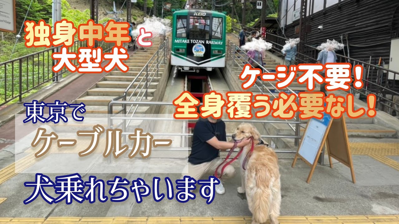 独身中年と大型犬【東京でケーブルカー乗れちゃいます】山頂には御犬様の神社があります。