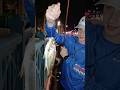 Giant Croaker!#fishing#shorts#fish#viralvideo#saltwater#nature#wildlife#fyp#fishingvideo#sea