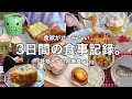 【3日間の食事】食欲が止まらない...爆食vlog😶🌫️🍚【妊娠8ヶ月】