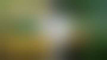 Day 289 Visual Novel Mark II: Asset Adjustment