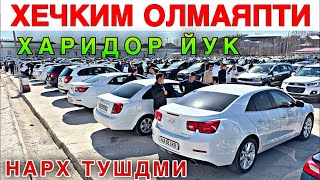 : SAMARQAND MOSHINA BOZORI2025.    2025.MOSHINA NARXLARI 2025
