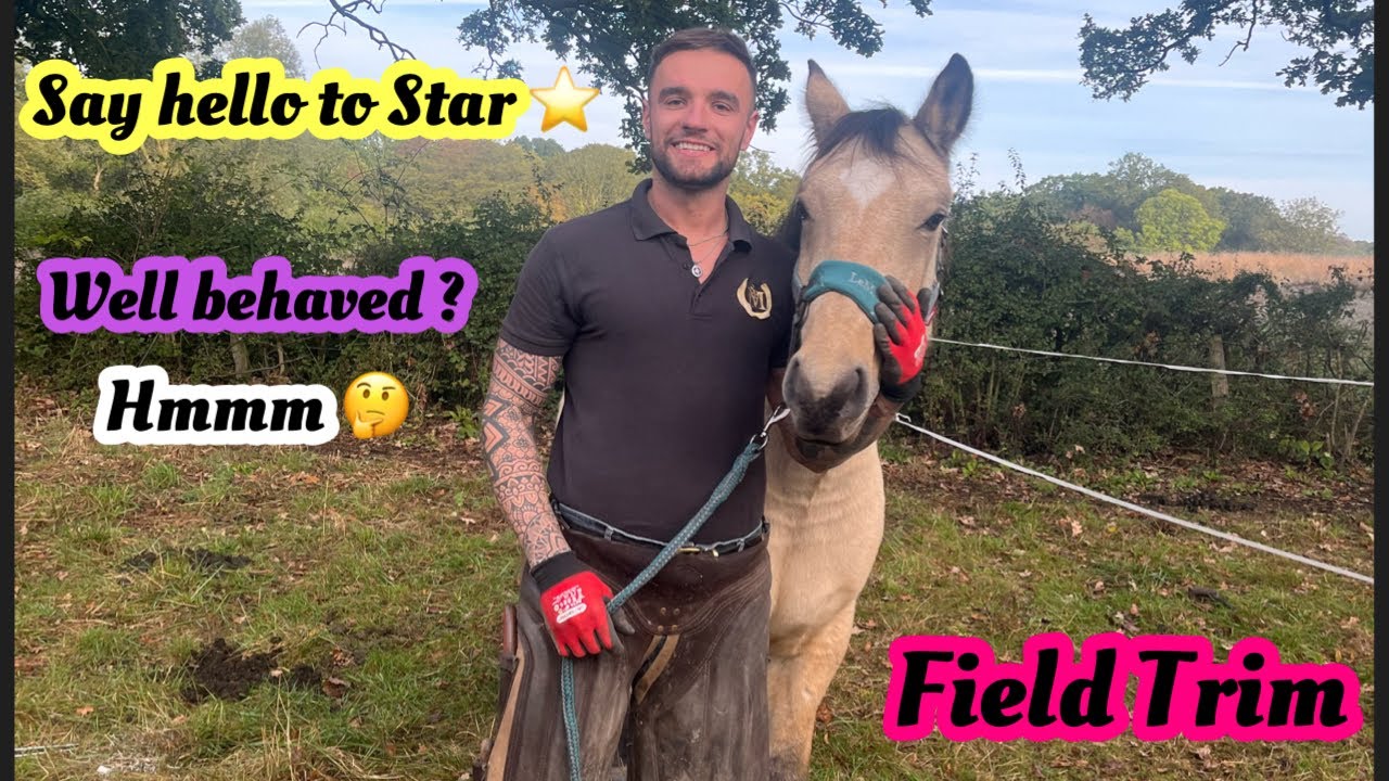 Farrier trims Star in the field ! Was he on his best behavior? 