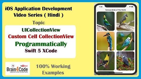 Create CollectionView with Custom Cell Programmatically in Swift 5 XCode | Hindi | UICollectionView