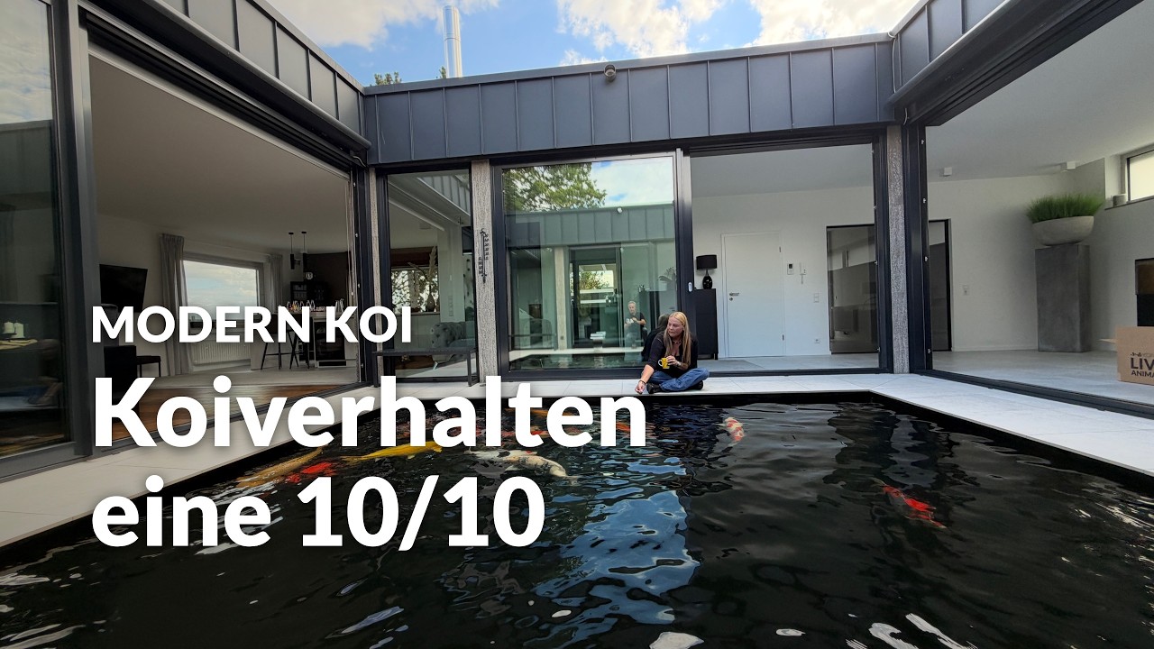 Eine Wasseranalyse an Danielas 31.000l Teich | Modern Koi Blog #8369