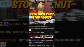 Even a DDoS attack can't stop Peanut from streaming #shorts