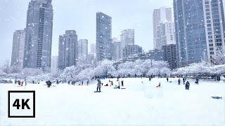 Snowstorm in Downtown Vancouver❄Snowy Walk along False Creek【4K HDR】BC Canada (Sounds Of Snowfall)