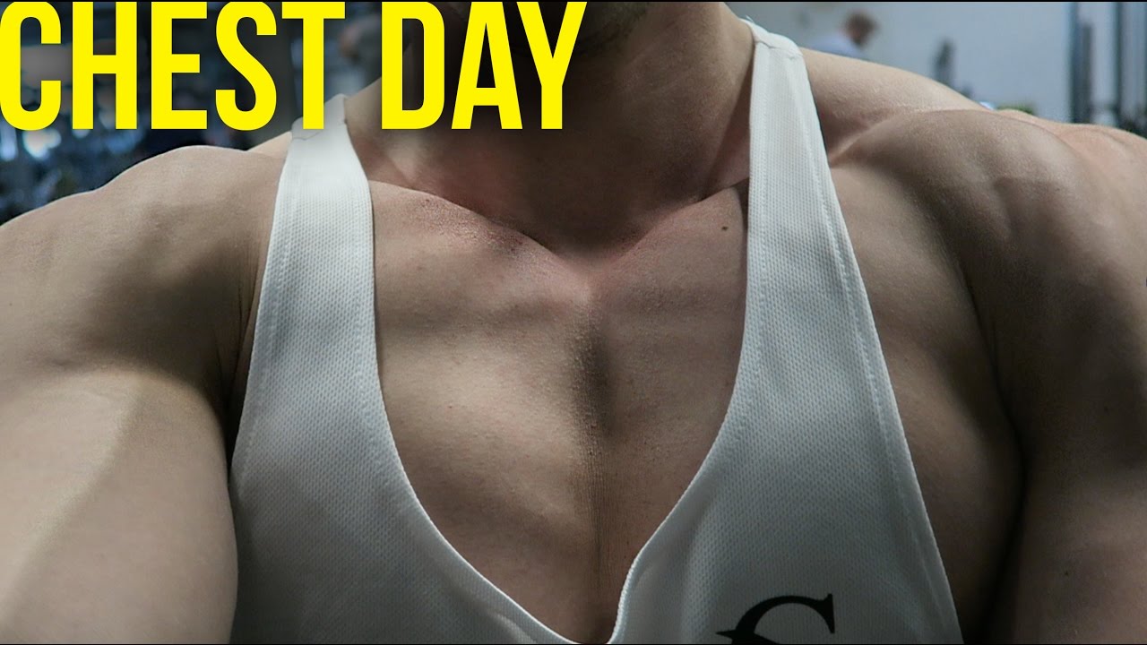 BEST Chest Day in a while! | FREE stuff! - YouTube
