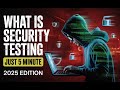 What is Security Testing || Types of Security Testing ||Main Goals of Security Testing