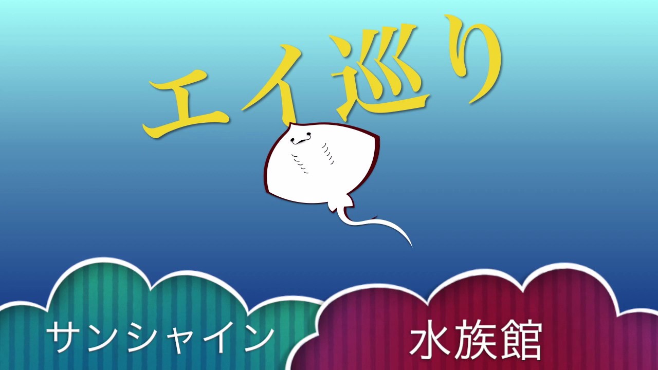 エイ巡り　サンシャイン水族館