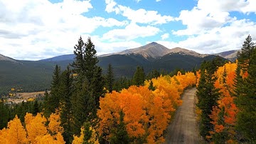 Thumbnail of Let It Be A Hallelujah / Lauren Daigle