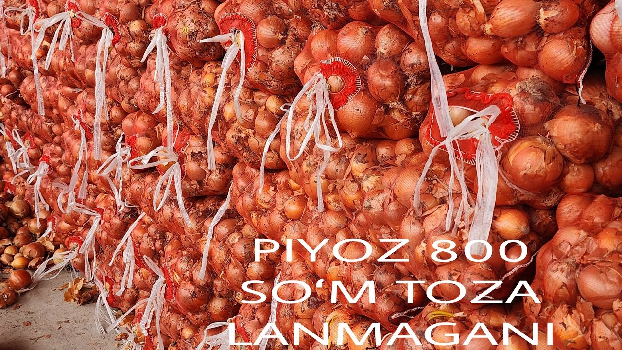 Qashqadaryo viloyati Qarshi shaxridagi Yerqoʻrgʻon bozor narxlari