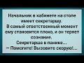 Начальник На Секретарше Потерял Сознание! Сборник Свежих Анекдотов! Юмор!