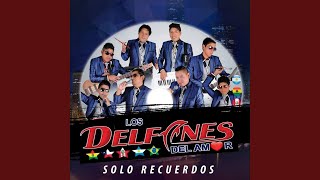 Video thumbnail of "Los Delfines del Amor - El Idiota"