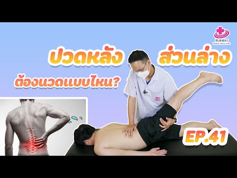 วิธีนวดแก้อาการปวดหลังส่วนล่าง [ Low Back Pain ]  