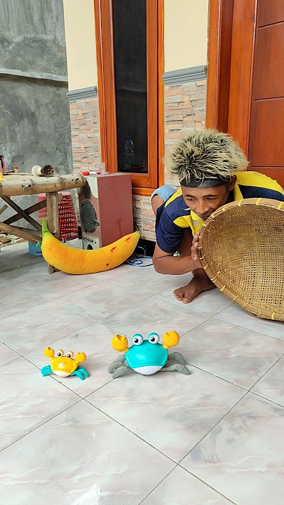 The Best Sound #shorts  #viralvideo