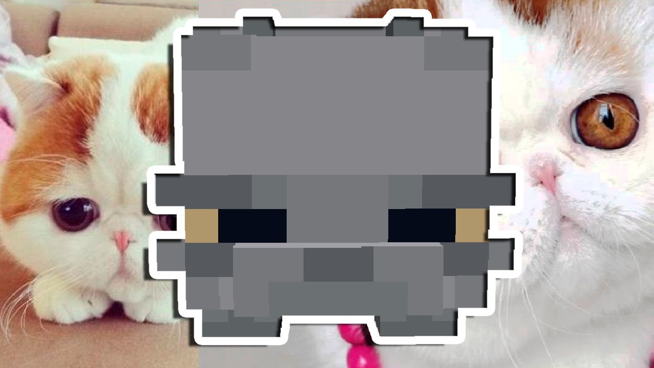 17. кот build battle. фэт кэт майнкрафт. Fat cat minecraft. 15.