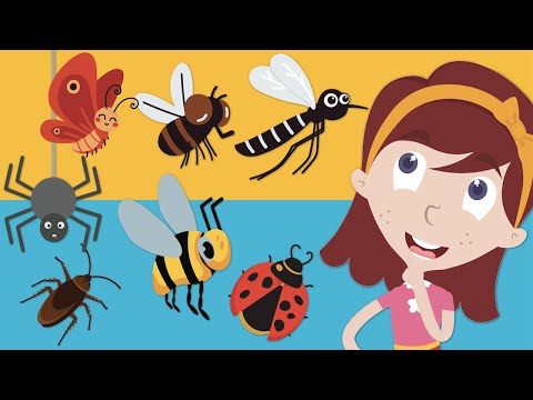 تعليم اسماء الحشرات للأطفال مع نور تعلم اسماء الحشرات باللغة العربية