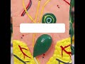 “Explore the Human Skin Model | Skin Cross-Sectional Anatomy Explained