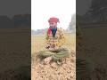 संजय पागल है #reels #shortvideo #comedy