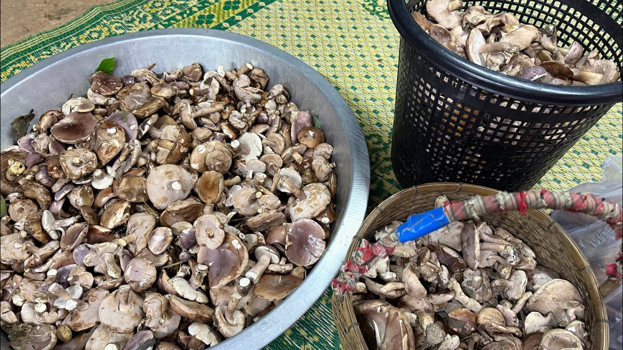 ผลงานสุดอลังของสาวเฉิ่ม เกือบไม่มีที่ใส่ไม่คิดว่าจะได้เยอะขนาดนี้ 