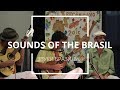 Sounds of Brasil [Звуки Бразилии]