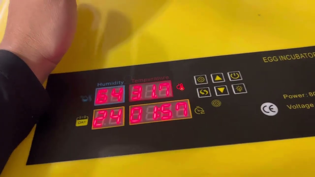 How to reset the Amazon and eBay Incubators - YouTube