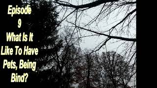 The BlindSighted Perspective Podcast Ep - 09 What is it like to have pets, being blind?