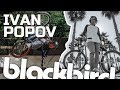 Ivan Popov | blackbird