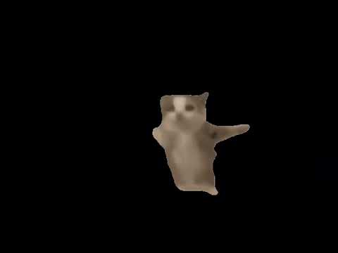 2024 نغمة مواء القط للايفون