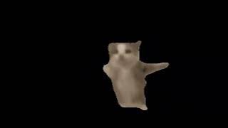 2024  meow cat iphone ringtone