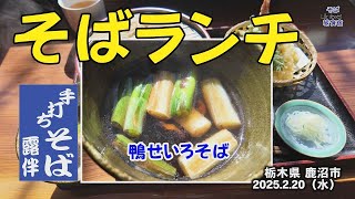 【鹿沼・そばランチ】手打ちそば　露伴　鴨せいろ　梅おろし　天ぷら　栃木県