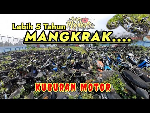 Melihat Tumpukan Motor Hasil Sitaan Yang Tidak Diambil Pemiliknya