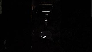 Inverted Fleshisms #art #artwork #music #weird #strange #why #idk #audio #experimental #shorts