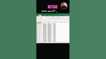 NETCAD Excel
