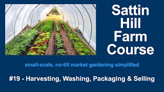 Sattin Hill Farm Course #19 - Harvesting, Washing, Packaging &amp; Selling