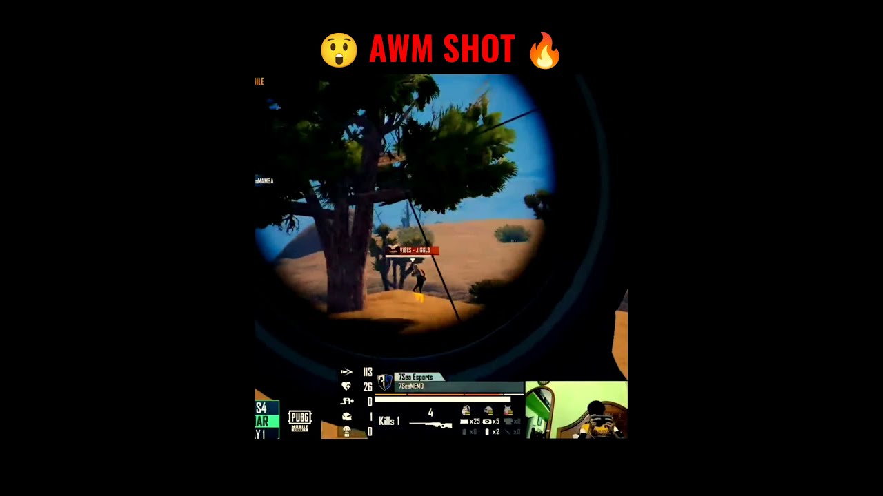 Pmpl South Asia || Best AWM shot 👌🔥 || 7seasMEM0 