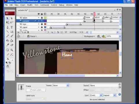 How to build a Flash Website 11 - Content