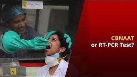 COVID Test: CBNAAT, An Alternative For RT PCR? | NewsMo