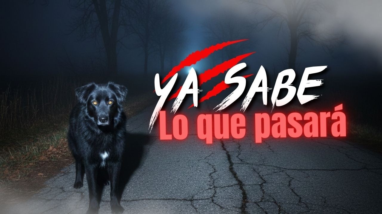 La Mano Peluda (UNPLUGGED) El Misterioso Perro Negro que Aparece Antes del Horror  / 3123