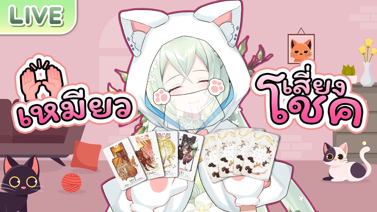 【เปิดมือ】แมวเหมียวทำนายโชค