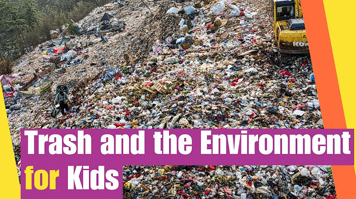 Trash and Environment for Kids | How Trash Effects the Environment | Lesson Boosters